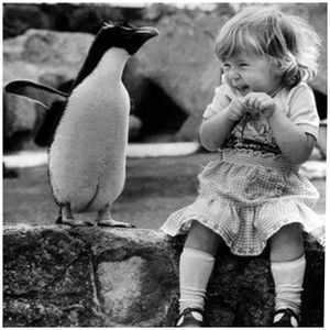 Meet your Posher, Anne